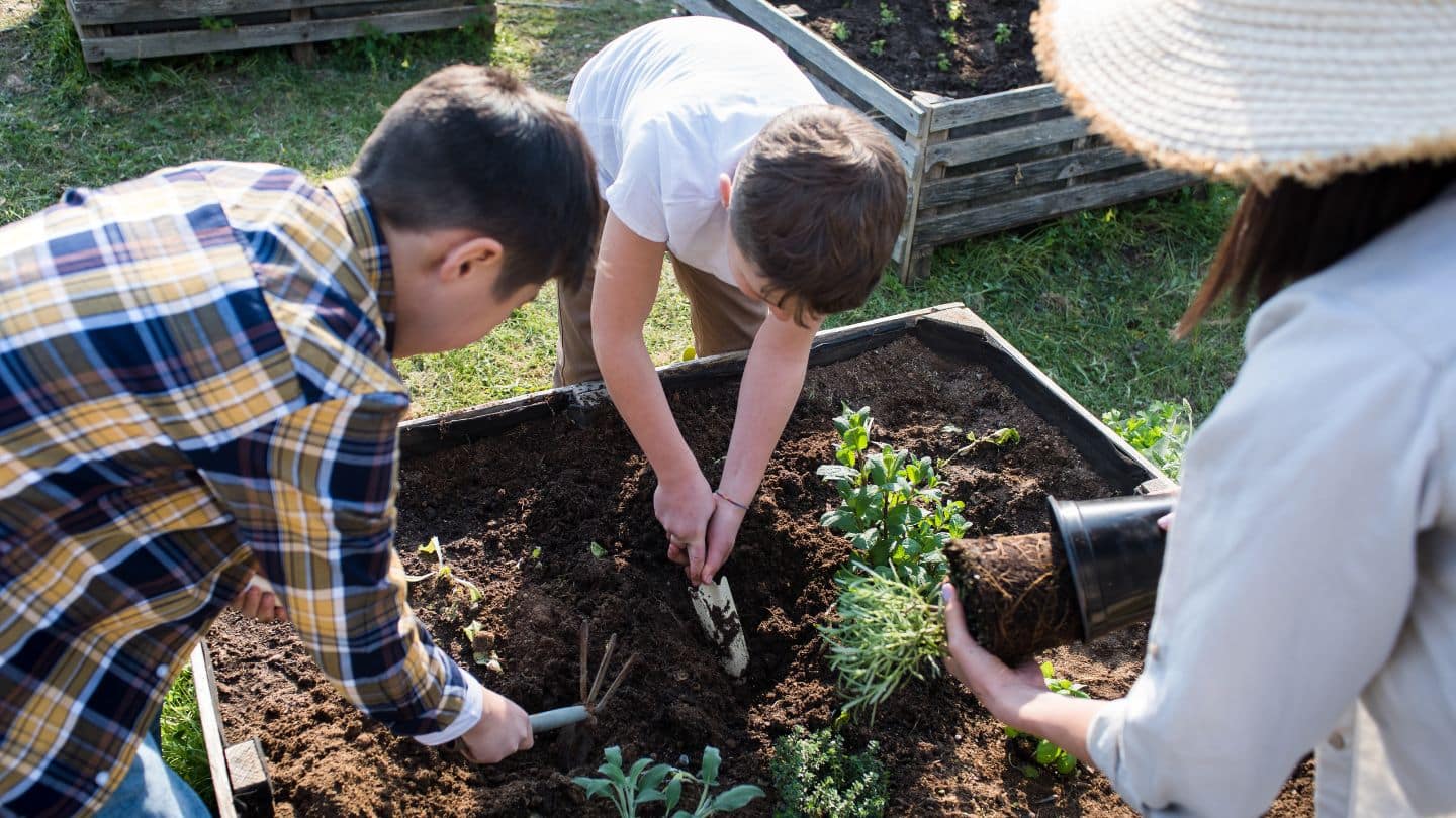 Two young boys and a grown up plant a garden.