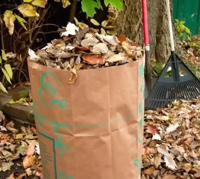 curbside leaf collection Amherst