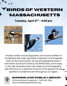 birds of Western Mass talk