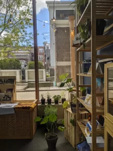 The Hive Collective Grand Opening in Downtown Amherst