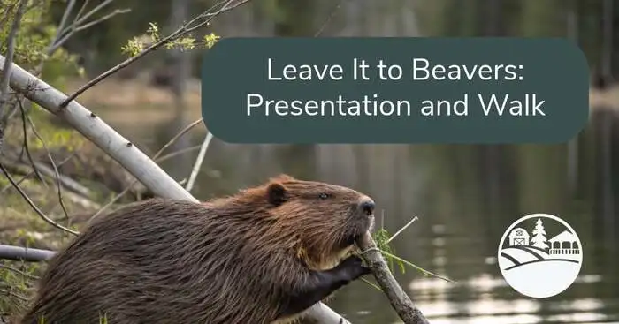 "Leave It to Beavers" Presentation & Walk in Belchertown