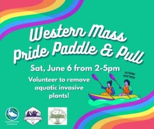 Pride Paddle & Pull: Invasive Water Chestnut Removal on Lake Warner