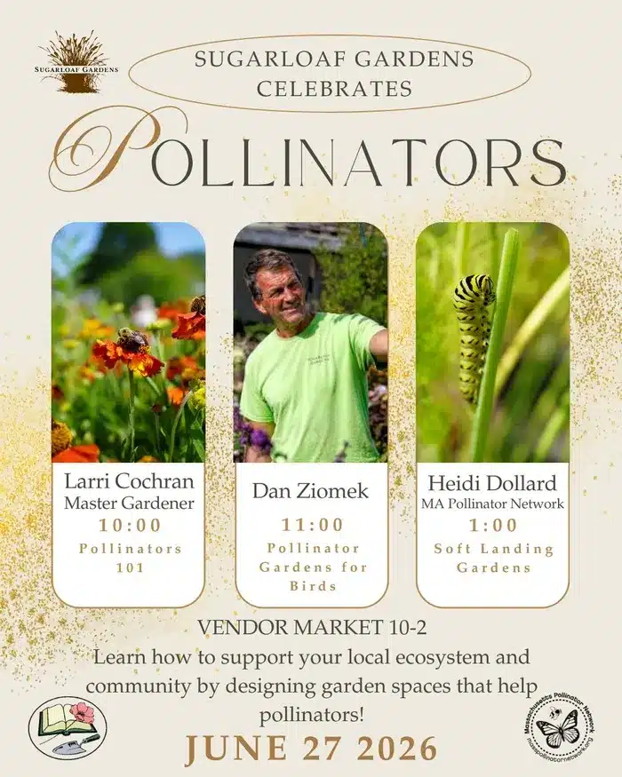 Pollinator Garden Day at Sugarloaf Gardens in Sunderland