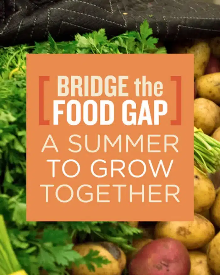Donate Today – Food Bank of Western MA