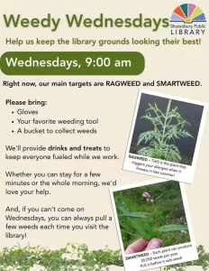 Help Weed Library Grounds at Shutesbury Library