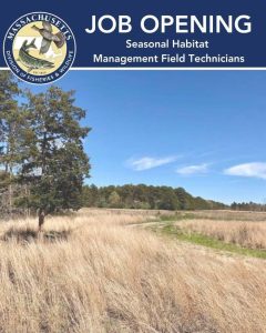 MassWildlife Hiring – Three Habitat Technician Contracts