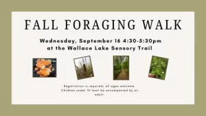 Fall Foraging – Lake Wallace Sensory Trail